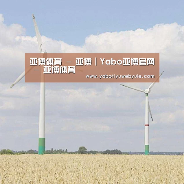 风能