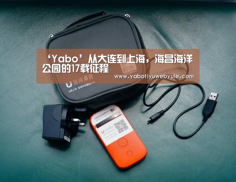 ‘Yabo’从大连到上海，海昌海洋公园的17载征程(图1)