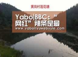 亚博娱乐