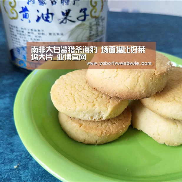 南非大白鲨猎杀海豹 场面堪比好莱坞大片_亚博官网(图2) 亚博体育