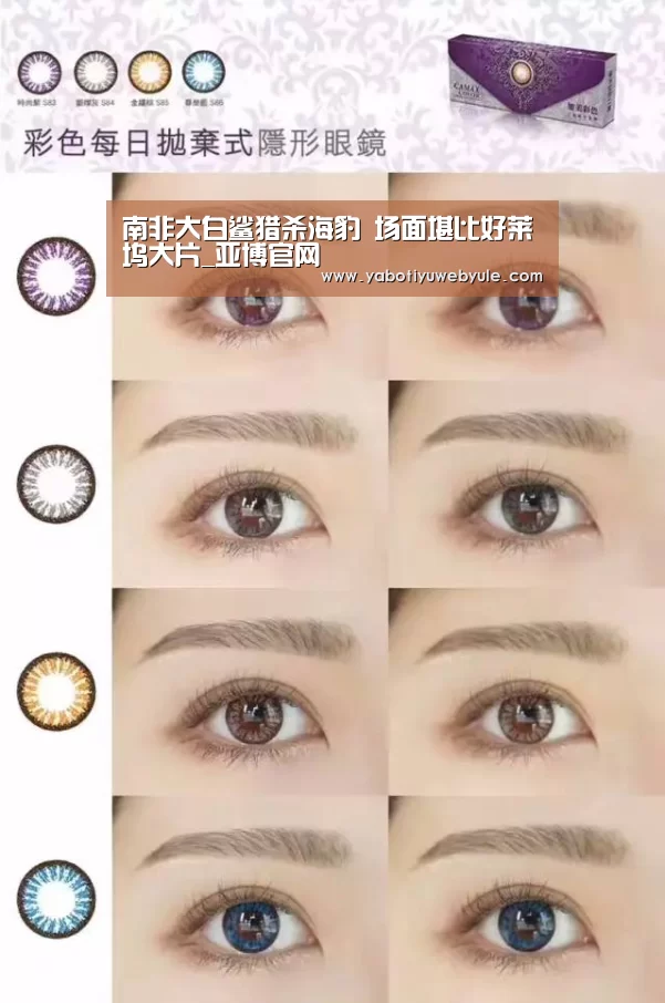 南非大白鲨猎杀海豹 场面堪比好莱坞大片_亚博官网(图4) 亚博娱乐