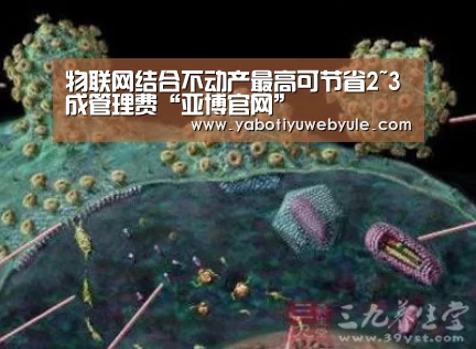 物联网结合不动产最高可节省2~3成管理费“亚博官网”(图1) 亚博官网