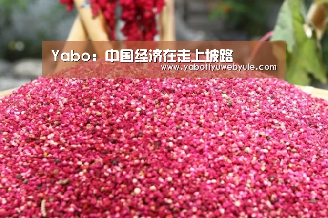 Yabo:中国经济在走上坡路(图2) 亚博首页