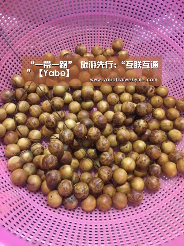 “一带一路” 旅游先行;“互联互通”【Yabo】(图2) 亚博体育