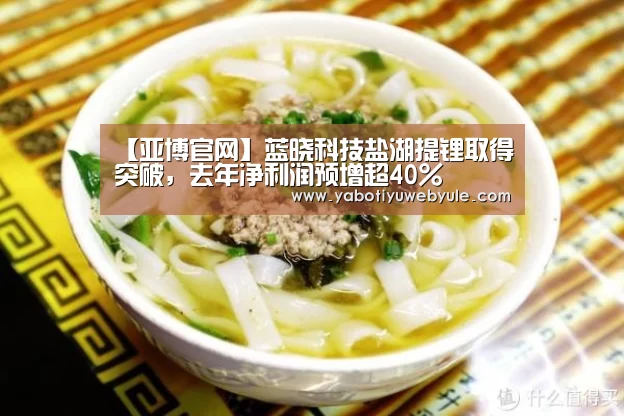【亚博官网】蓝晓科技盐湖提锂取得突破,去年净利润预增超40%(图1) 亚博官网