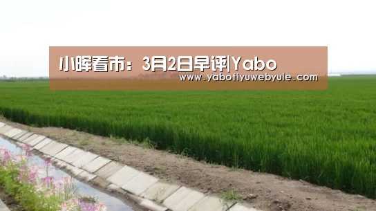 小晖看市:3月2日早评|Yabo(图3) 小晖看市:3月2日早评|Yabo(图3)