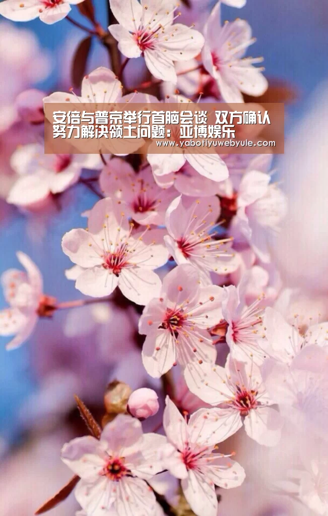 安倍与普京举行首脑会谈 双方确认努力解决领土问题:亚博娱乐(图4) 亚博官网
